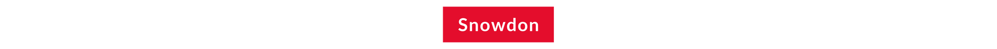 The word Snowdon in a red block