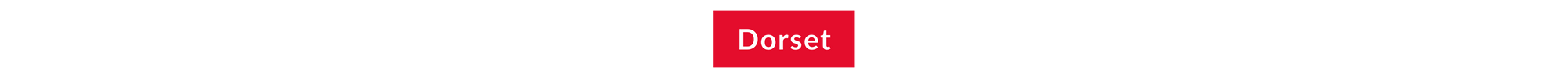 The word Dorset in a red block